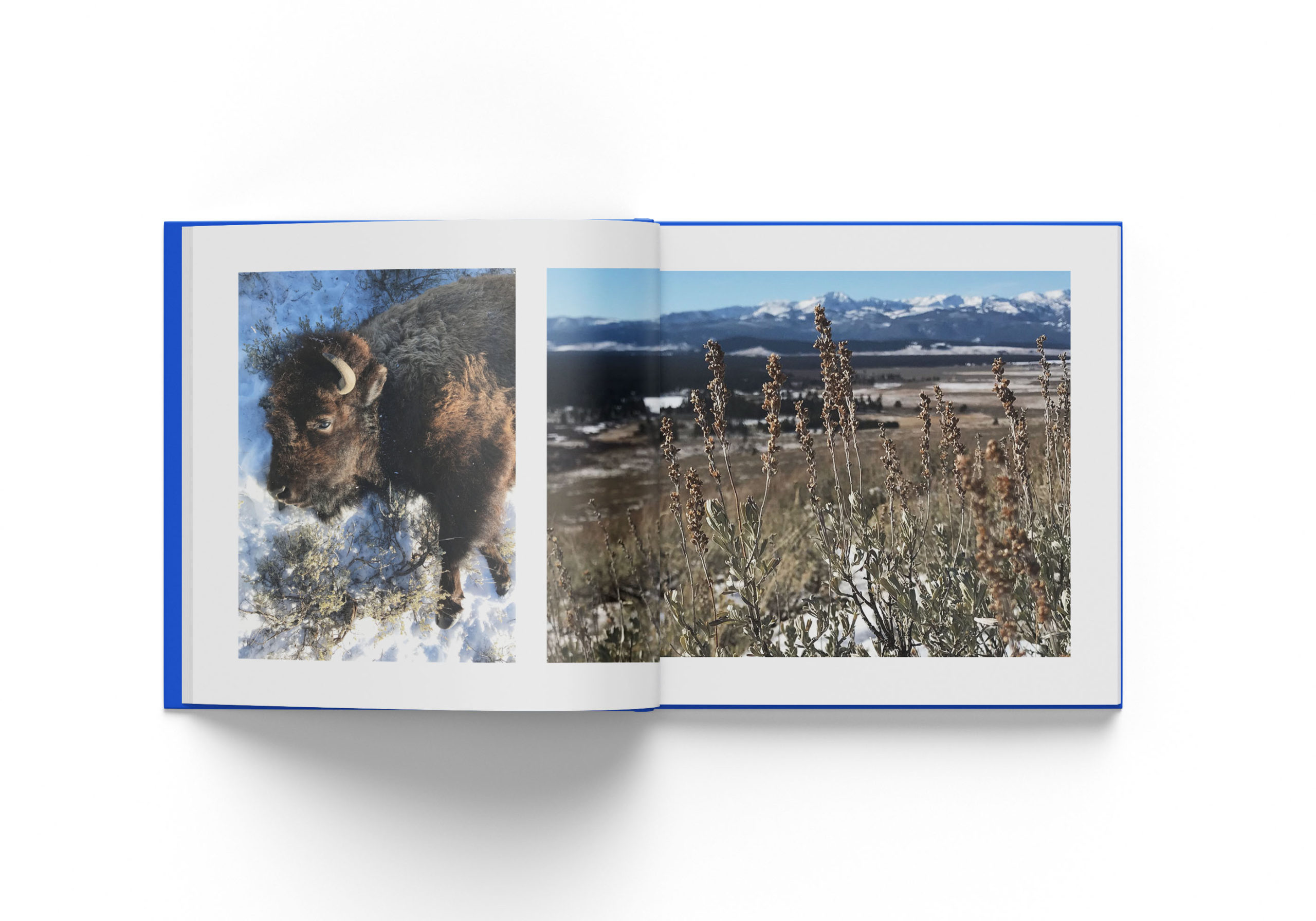 SC Travel Book mockup – West Yellowstone_w